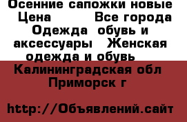 Осенние сапожки новые › Цена ­ 600 - Все города Одежда, обувь и аксессуары » Женская одежда и обувь   . Калининградская обл.,Приморск г.